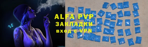 стаф Белокуриха