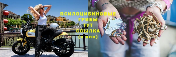 apvp Приозерск