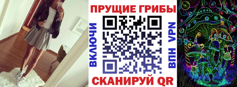 ссылка на мегу как зайти  Севск  Псилоцибиновые грибы прущие грибы  купить наркоту 